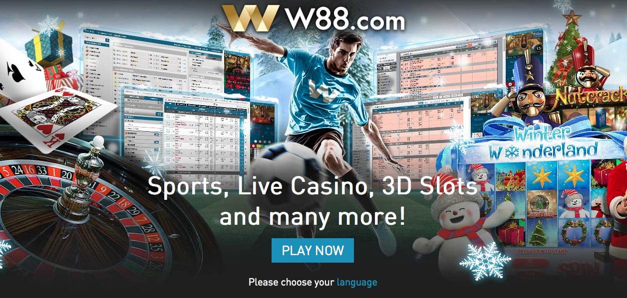 Cập nhật kết quả đá gà casino trực tiếp ngày hôm nay cùng những trận đấu hấp dẫn